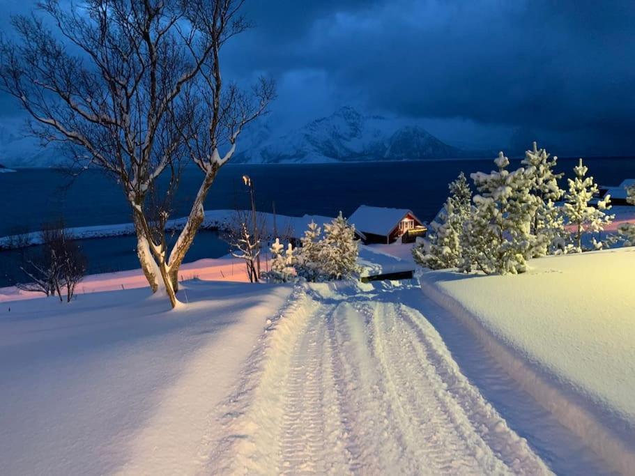 Leilighet I Rorbu Pa Kaldfarnes - Yttersia Senja Exterior photo